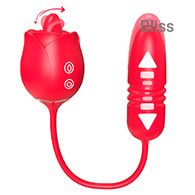 SHD-S538-14 ROSSI