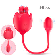SHD-S484-3 Lilium 3
