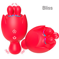 SHD-S484-2 Lilium 2