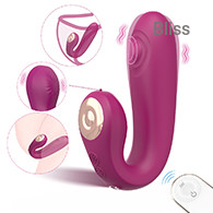 SHD-H023 Bobby