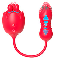 SHD-S484-7 Lilium 7